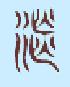տ��˵��