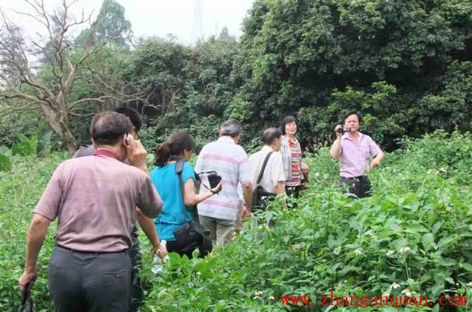 ����Ƶ�������׻��Ļ��о��ᵽ�����ι����