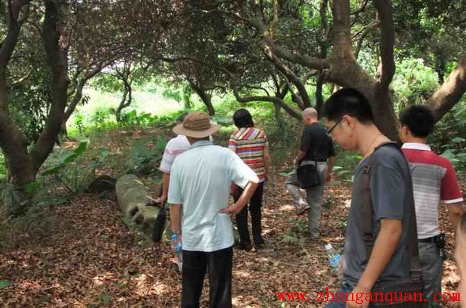 【视频:江门炎黄文化研究会到新塘参观文物】 【视频:江门炎黄文化研究会到新塘参观文物】
