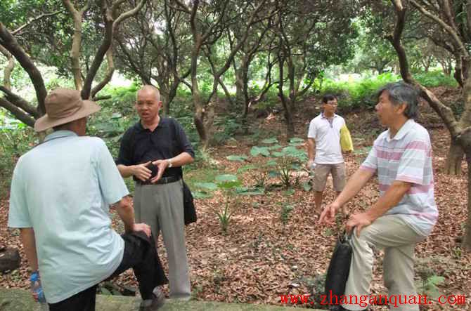 【视频:江门炎黄文化研究会到新塘参观文物】 【视频:江门炎黄文化研究会到新塘参观文物】