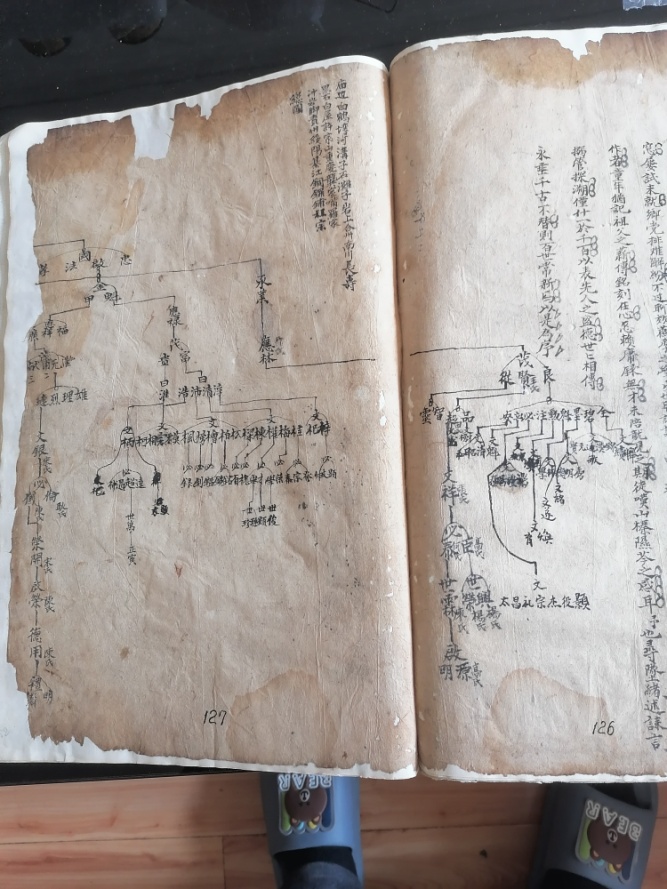 光绪十八年版《湛氏族谱》详解 光绪十八年版《湛氏族谱》详解